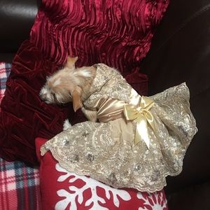 Meet your Posher, Norma